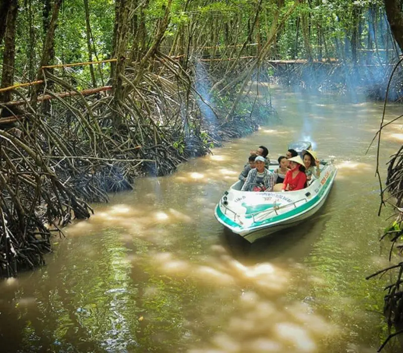 Vườn quốc gia Mũi C&agrave; Mau: Điểm cực nam thi&ecirc;ng li&ecirc;ng của Tổ quốc 8