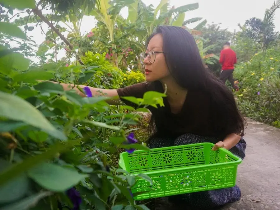 Gợi &yacute; lịch tr&igrave;nh kh&aacute;m ph&aacute; C&agrave; Mau 2 ng&agrave;y cuối tuần đầy mới lạ 10