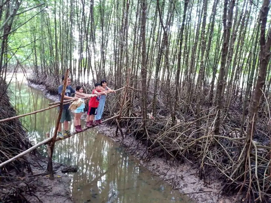 Lịch tr&igrave;nh 1 ng&agrave;y ở C&agrave; Mau, kh&aacute;m ph&aacute; v&ugrave;ng cực Nam Tổ quốc 7
