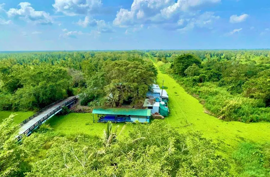 Lên kế hoạch lịch trình Cà Mau 2 ngày 1 đêm vui quên lối về