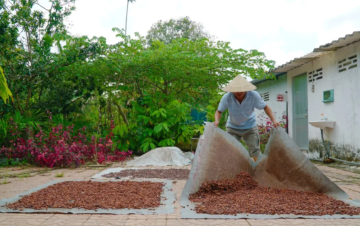 Bạn đ&atilde; thử chưa Cacao Mười Cương thơm ngon chỉ c&oacute; tại T&acirc;y Đ&ocirc;? 9