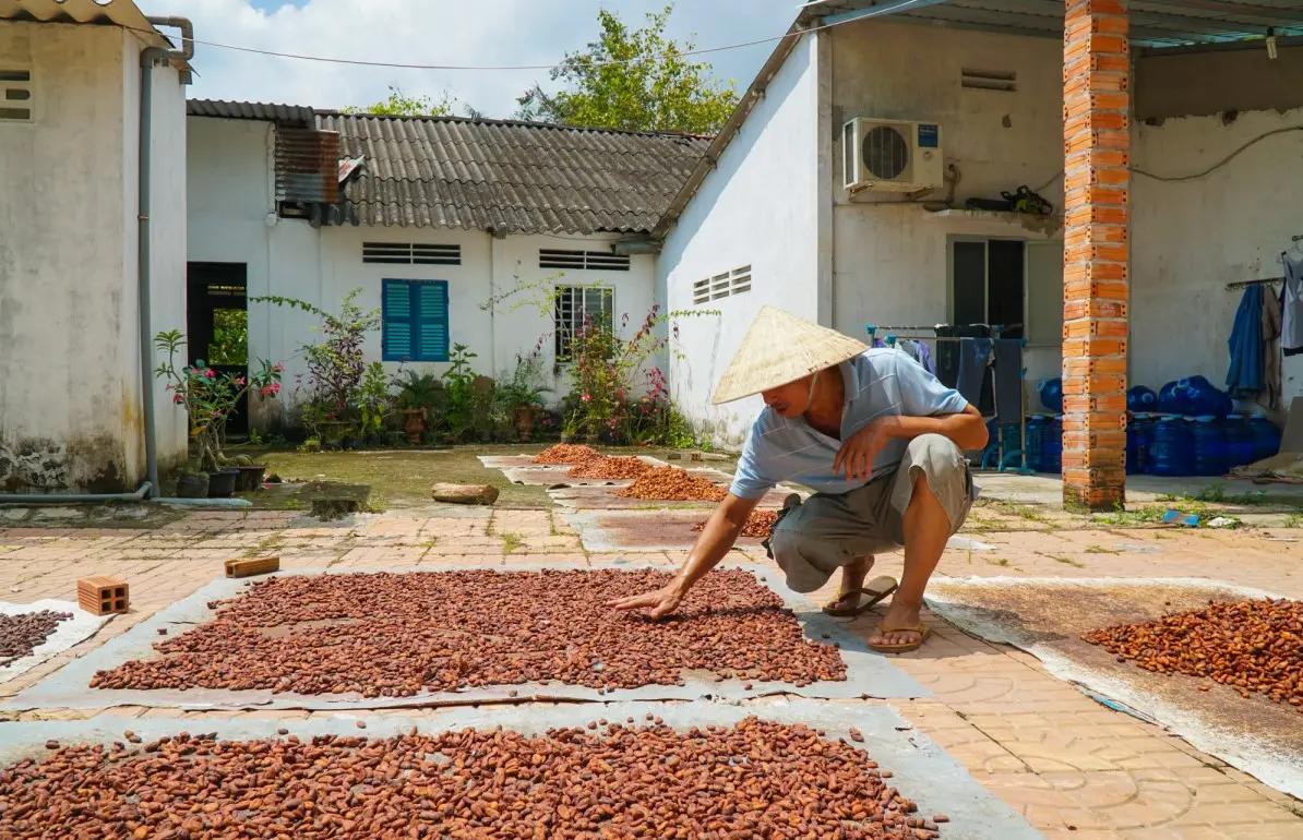 Bạn đ&atilde; thử chưa Cacao Mười Cương thơm ngon chỉ c&oacute; tại T&acirc;y Đ&ocirc;? 7