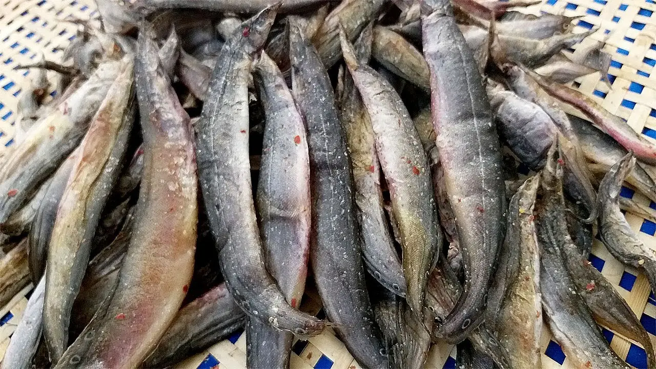 Bật m&iacute; cho bạn những m&oacute;n Đặc sản Cần Thơ mua về l&agrave;m qu&agrave; 11