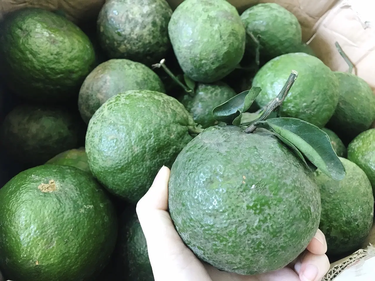 Bật m&iacute; cho bạn những m&oacute;n Đặc sản Cần Thơ mua về l&agrave;m qu&agrave; 14