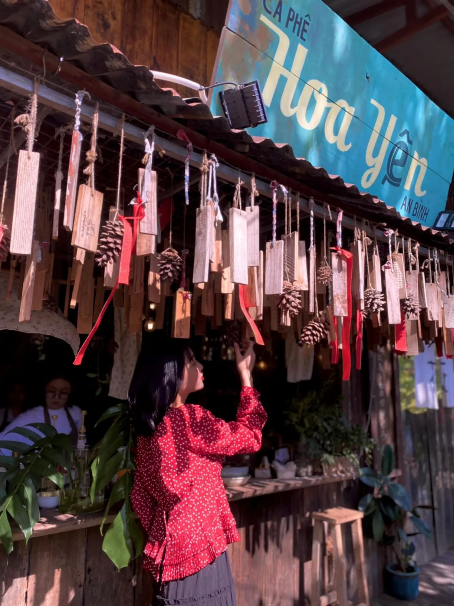 Cả Đ&agrave; Lạt thu b&eacute; lại vừa bằng Hoa Y&ecirc;n An B&igrave;nh ở Cần Thơ 4