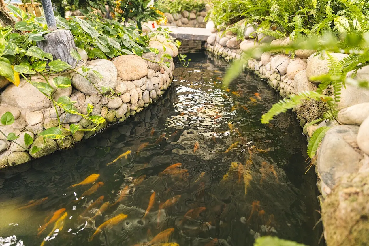 C&aacute;nh N&acirc;u Garden Cafe v&agrave; những đ&ecirc;m nhạc acoustic đ&aacute;ng nhớ 3