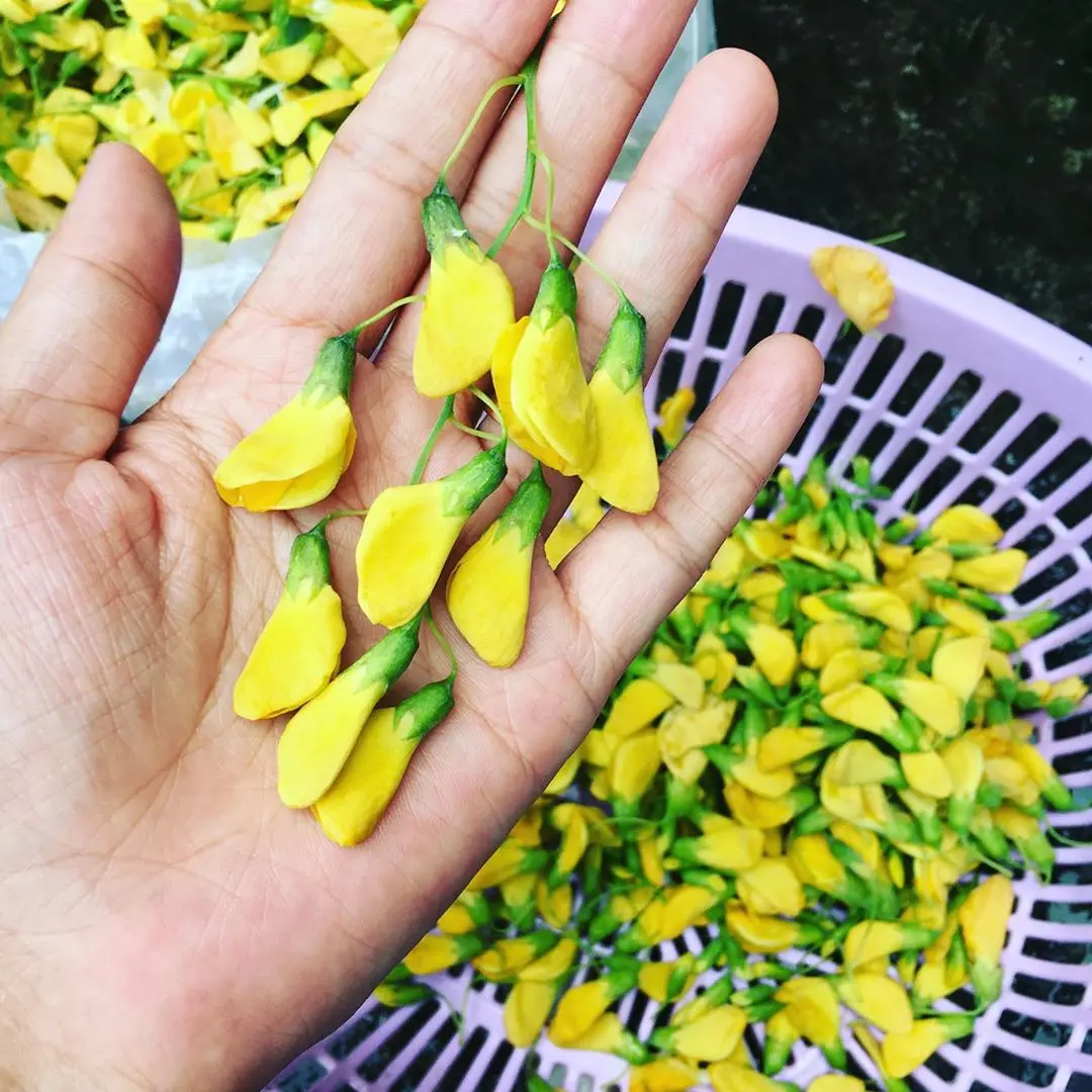 D&acirc;n d&atilde; đậm vị Lẩu c&aacute; linh b&ocirc;ng đi&ecirc;n điển Cần Thơ 4