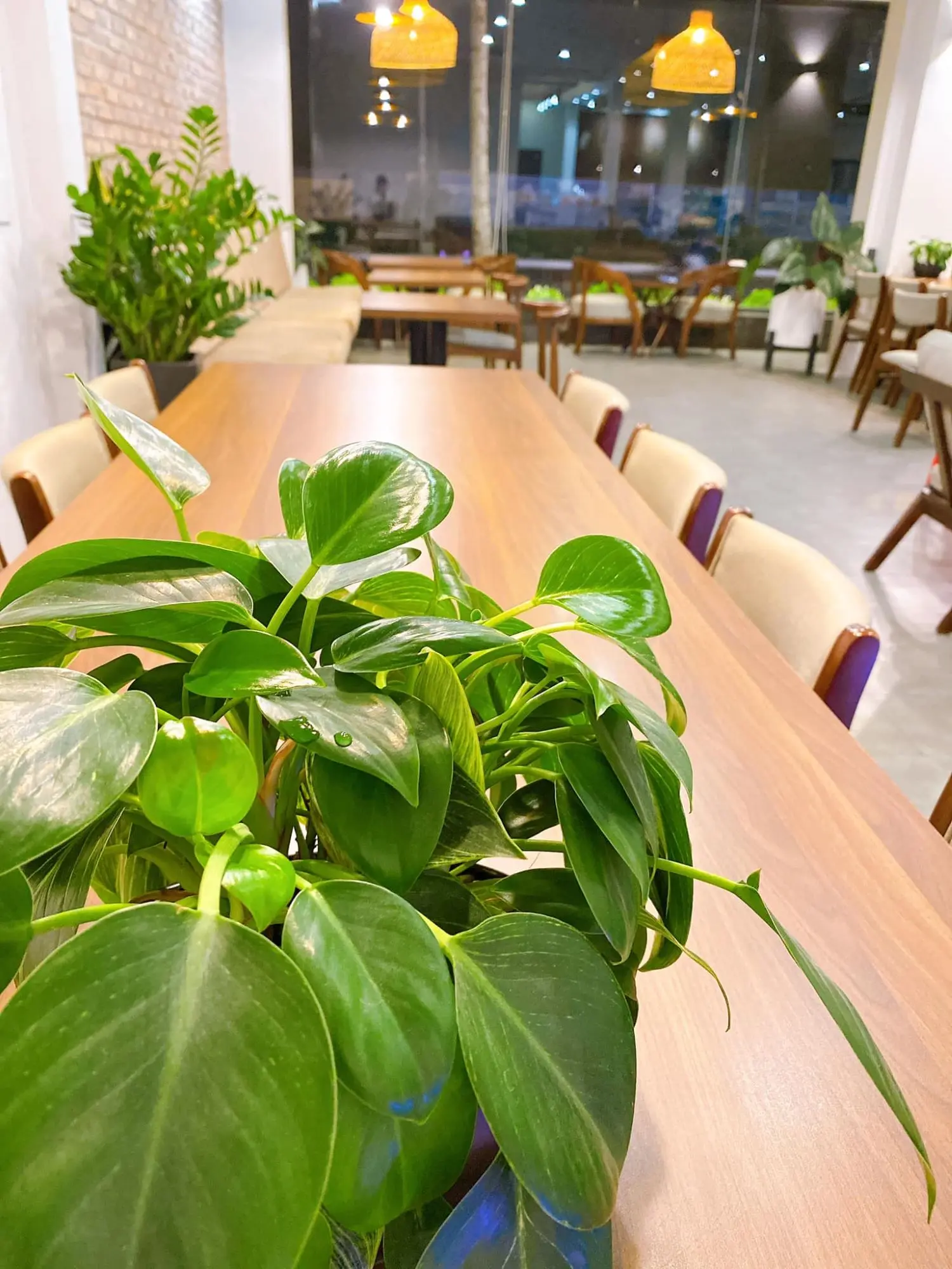 Đến Coffee Time đắm m&igrave;nh trong g&oacute;c nhỏ b&igrave;nh y&ecirc;n giữa l&ograve;ng T&acirc;y Đ&ocirc; 5