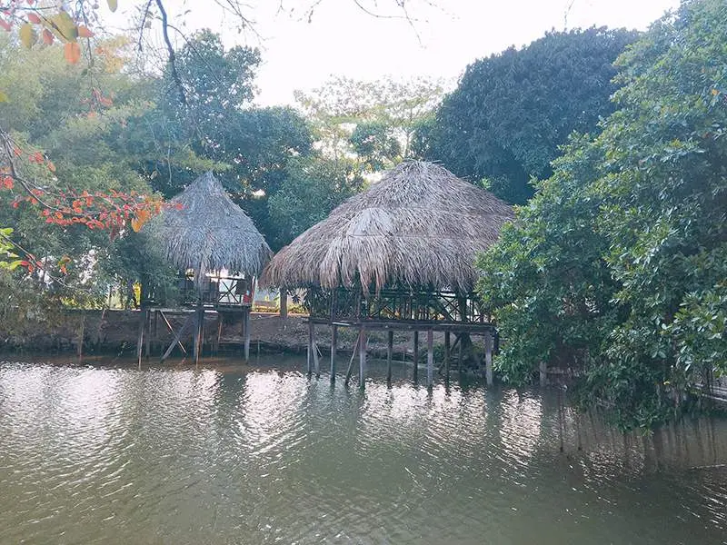 Đến Nh&agrave; h&agrave;ng Hoa Sứ Cần Thơ để ăn ngon v&agrave; nghe đờn ca t&agrave;i tử 4