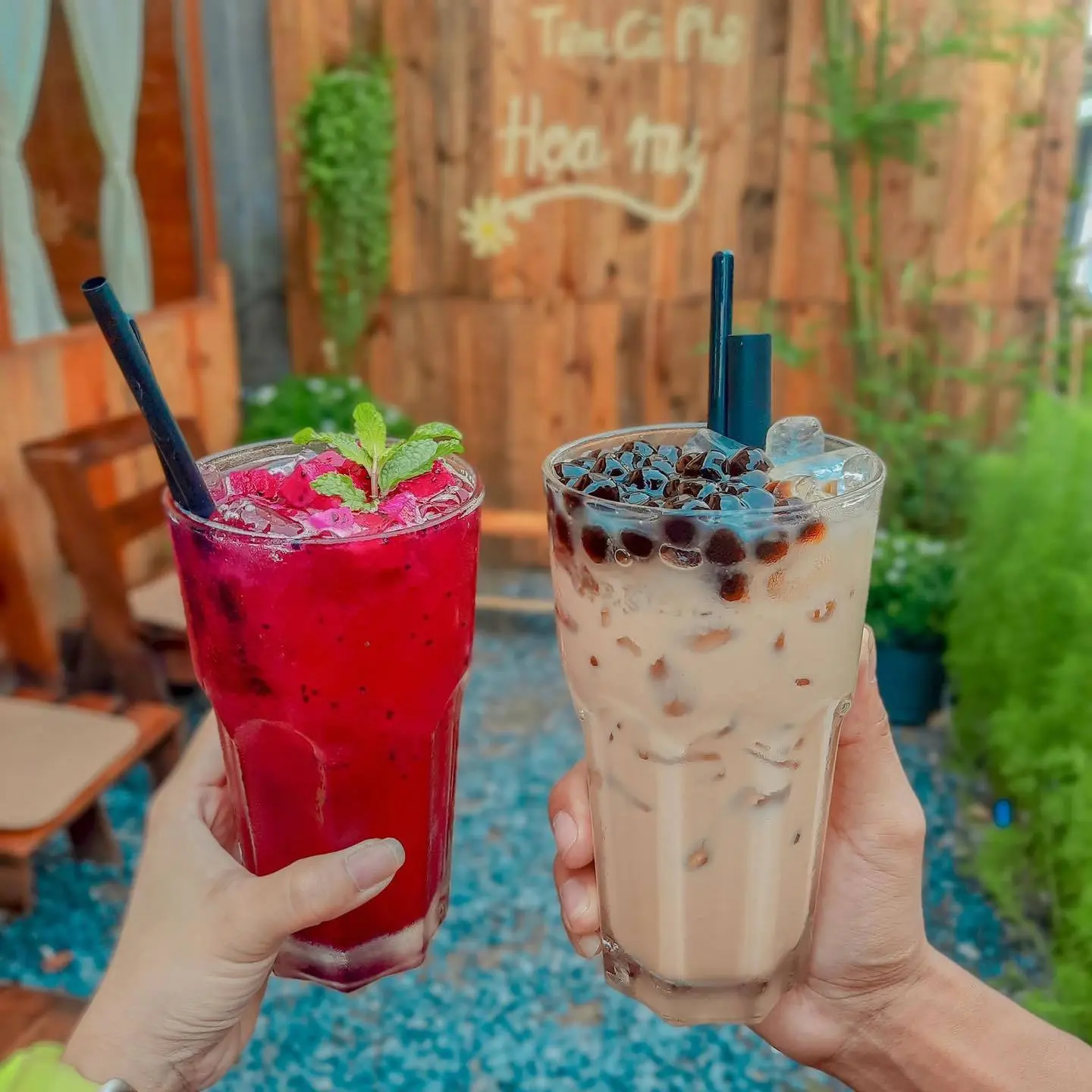 Đi trốn đến Cafe Họa Mi bình yên giữa lòng thành phố 3