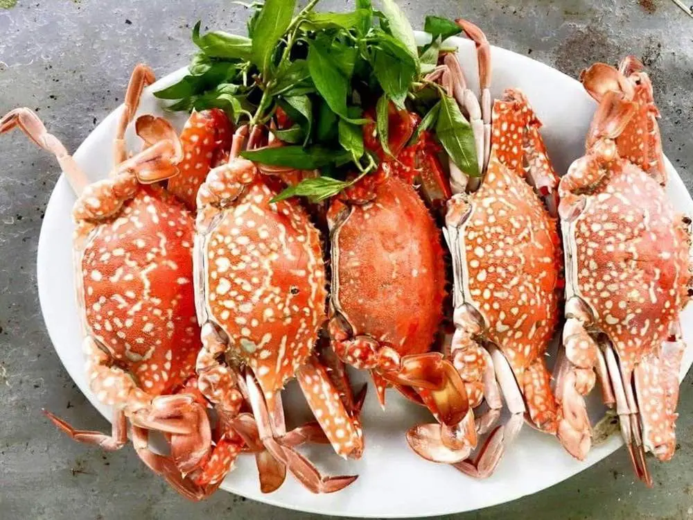 Kh&aacute;m ph&aacute; menu đa dạng tại qu&aacute;n Lẩu d&ecirc; 91B Cần Thơ 5