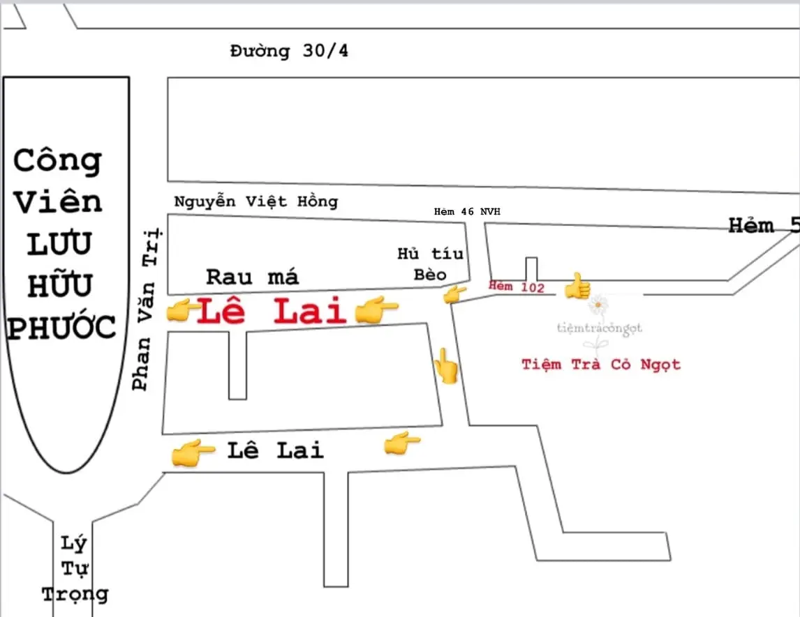 Tiệm tr&agrave; Cỏ Ngọt chứa đựng cả bầu trời Đ&agrave; Lạt trong l&ograve;ng T&acirc;y Đ&ocirc; 3