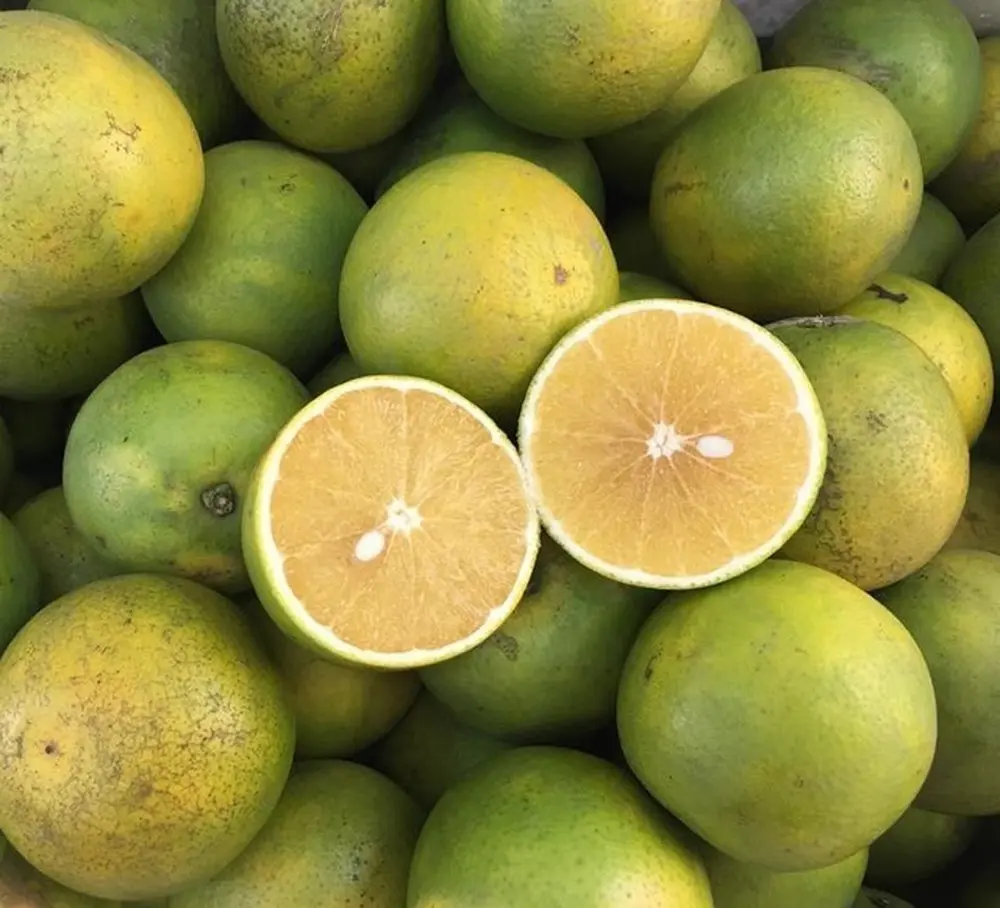 Top Tr&aacute;i c&acirc;y Cần Thơ gọi t&ecirc;n đặc sản n&agrave;o đ&atilde; ăn l&agrave; chỉ c&oacute; ghiền? 3