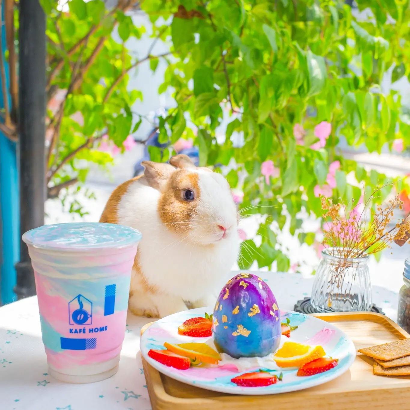 Tr&agrave;n đầy năng lượng với kh&ocirc;ng gian đặc sắc, ấn tượng tại Kaf&eacute; Home 19