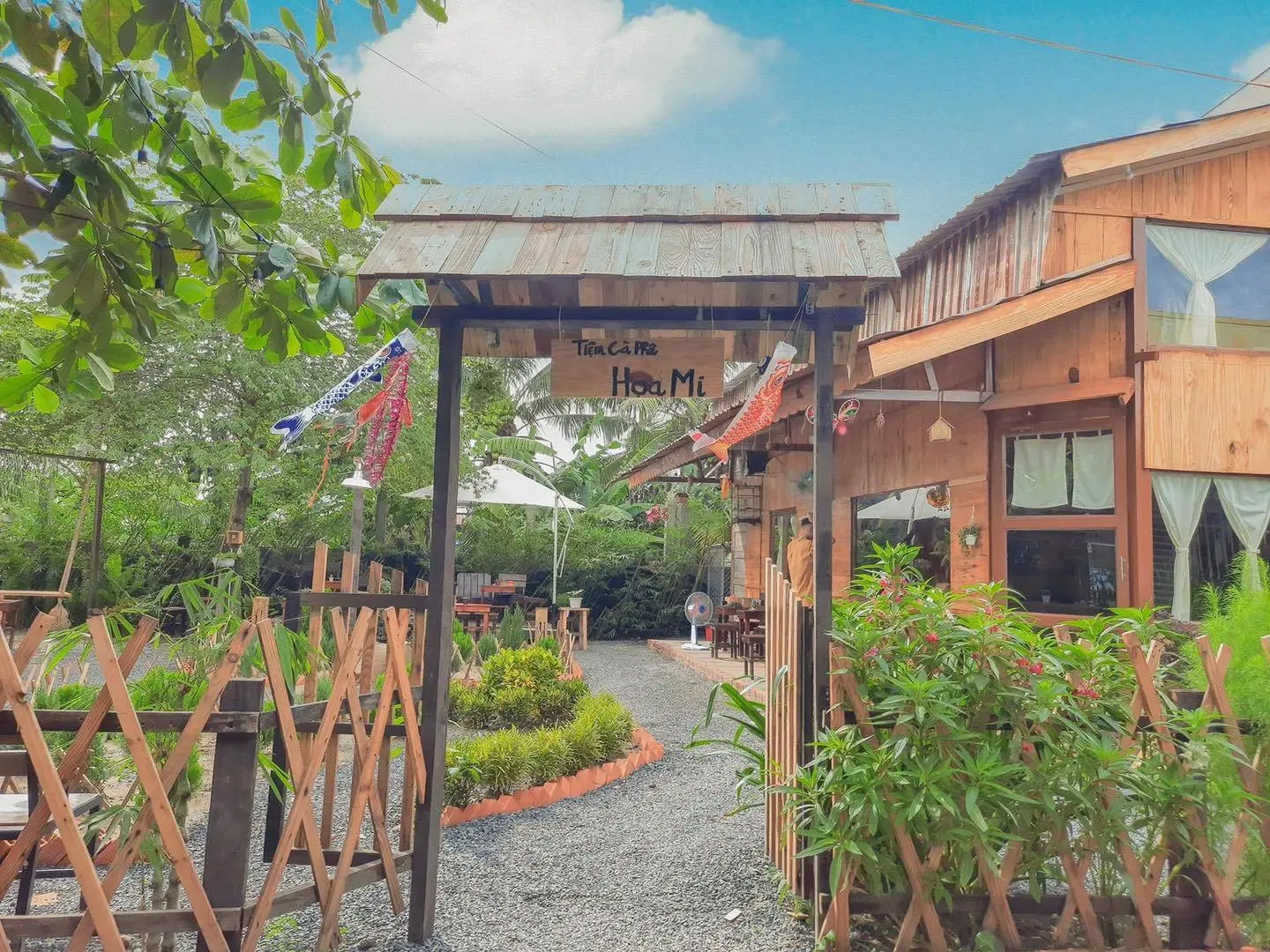 Đi trốn đến Cafe Họa Mi bình yên giữa lòng thành phố
