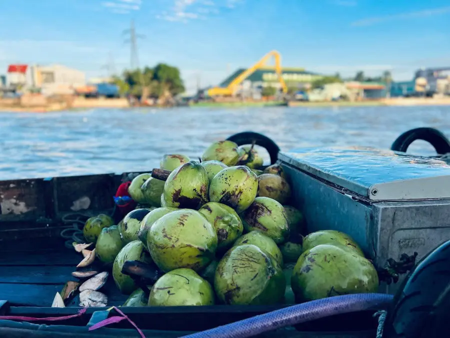 Kh&aacute;m ph&aacute; Chợ nổi C&aacute;i Răng, n&eacute;t đặc sắc của ri&ecirc;ng miền T&acirc;y s&ocirc;ng nước 4