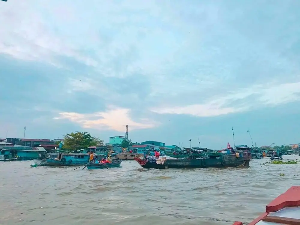 Kh&aacute;m ph&aacute; chuyến đi 2N1Đ ăn chơi ở Cồn Sơn cực th&uacute; vị với MIA.vn 8