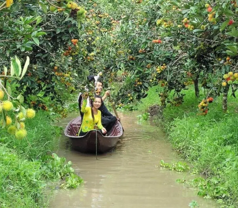 Top 5 vườn sầu ri&ecirc;ng Cần Thơ, vừa ăn vừa m&ecirc; cảnh đẹp miệt vườn 8