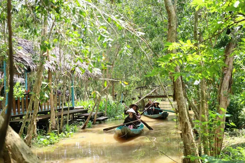 Top 7 vườn tr&aacute;i c&acirc;y Cần Thơ đ&oacute;n nhiều kh&aacute;ch du lịch nhất 8