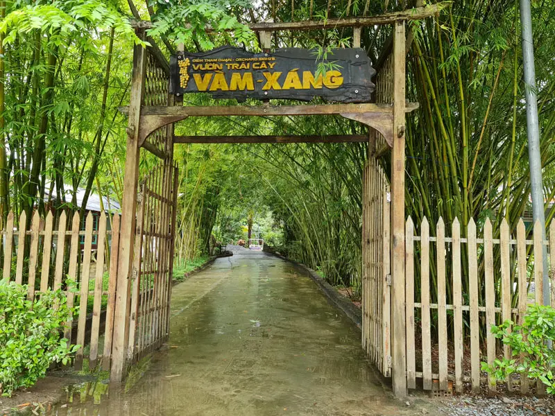 Về với miệt vườn Cần Thơ, kh&aacute;m ph&aacute; vẻ đẹp s&ocirc;ng nước thanh b&igrave;nh 4