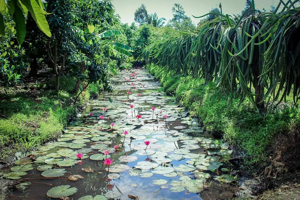 C&ugrave;ng MIA.vn tham gia h&agrave;nh tr&igrave;nh 24h kh&aacute;m ph&aacute; vẻ đẹp đất T&acirc;y Đ&ocirc; 13