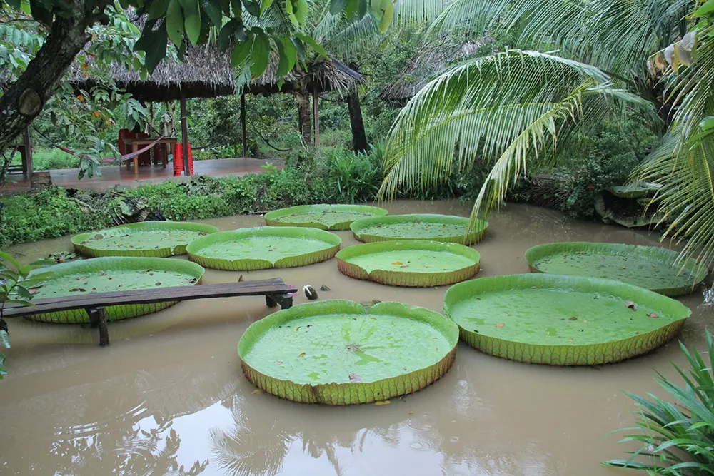 C&ugrave;ng MIA.vn tham gia h&agrave;nh tr&igrave;nh 24h kh&aacute;m ph&aacute; vẻ đẹp đất T&acirc;y Đ&ocirc; 18