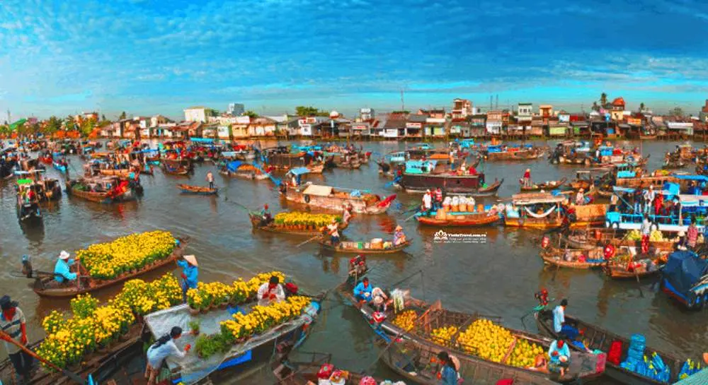 Lịch trình Cần Thơ 2N1Đ chi tiết nhất: Chinh phục chợ nổi, miệt vườn 6