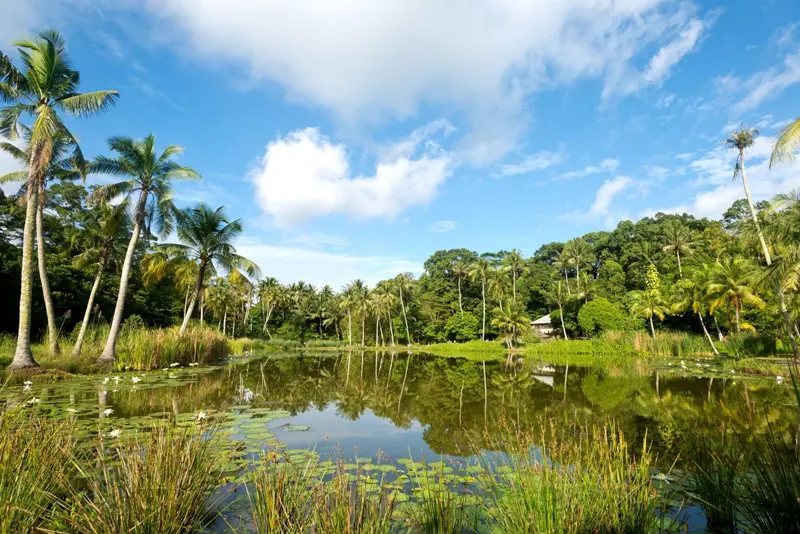 11 b&atilde;i biển Singapore đẹp nhất cho chuyến du lịch h&egrave; n&agrave;y 7
