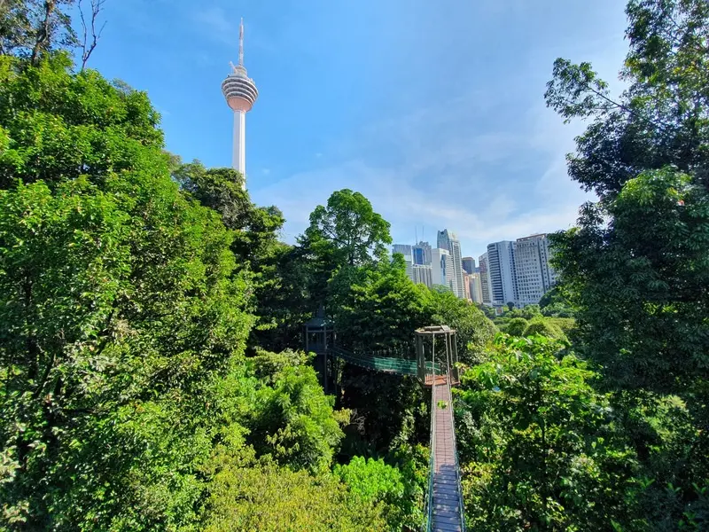 Bukit Bintang thi&ecirc;n đường ẩm thực v&agrave; cuộc sống về đ&ecirc;m ở Malaysia 9