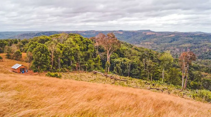 Cao nguy&ecirc;n Mondulkiri với vẻ đẹp hoang sơ của chốn đại ng&agrave;n 7