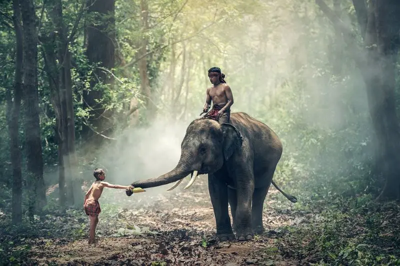 Cao nguy&ecirc;n Mondulkiri với vẻ đẹp hoang sơ của chốn đại ng&agrave;n 5