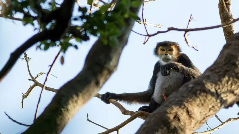 Cao nguy&ecirc;n Mondulkiri với vẻ đẹp hoang sơ của chốn đại ng&agrave;n 10