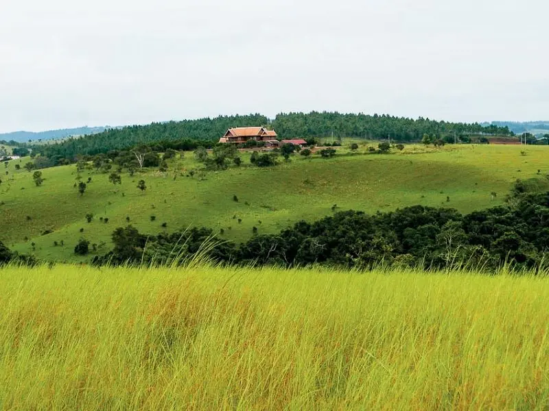 Cao nguy&ecirc;n Mondulkiri với vẻ đẹp hoang sơ của chốn đại ng&agrave;n 8
