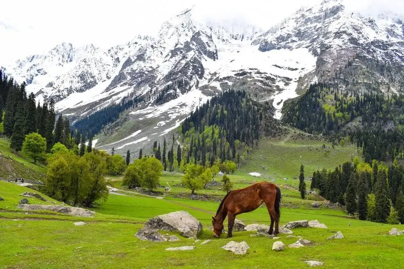C&oacute; một Kashmir mang vẻ đẹp viễn chinh hoang d&atilde; 3