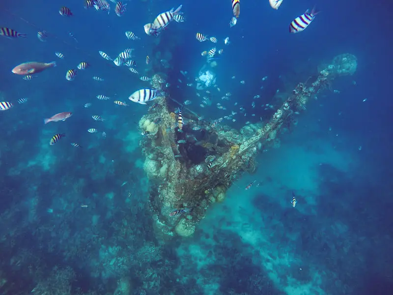 Coron Palawan, vi&ecirc;n ngọc qu&yacute; với sắc m&agrave;u nguy&ecirc;n sơ của Philippines 9