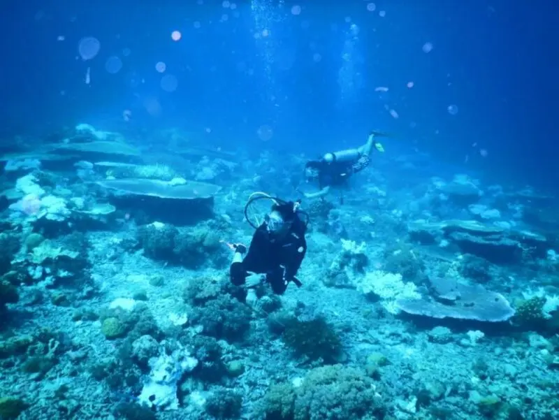 Đảo Batam l&yacute; tưởng để nghỉ dưỡng b&ecirc;n l&agrave;n nước xanh tại Indonesia 11