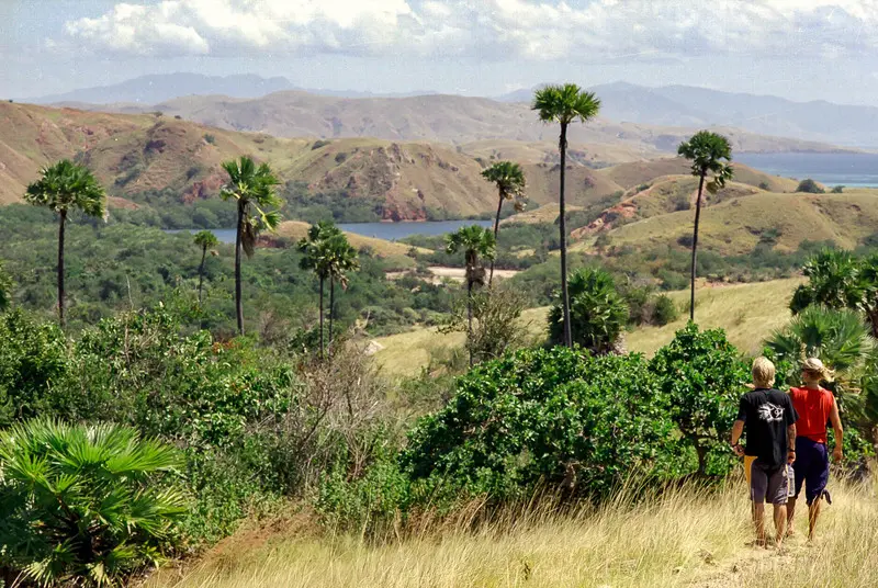 Đảo Komodo thiên đường của loài rồng độc đáo tại Indonesia 6