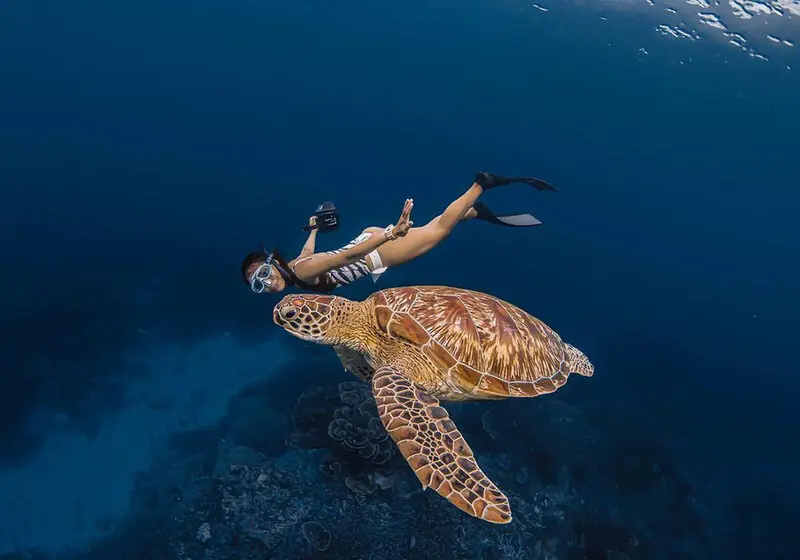 Đảo Komodo thiên đường của loài rồng độc đáo tại Indonesia 9