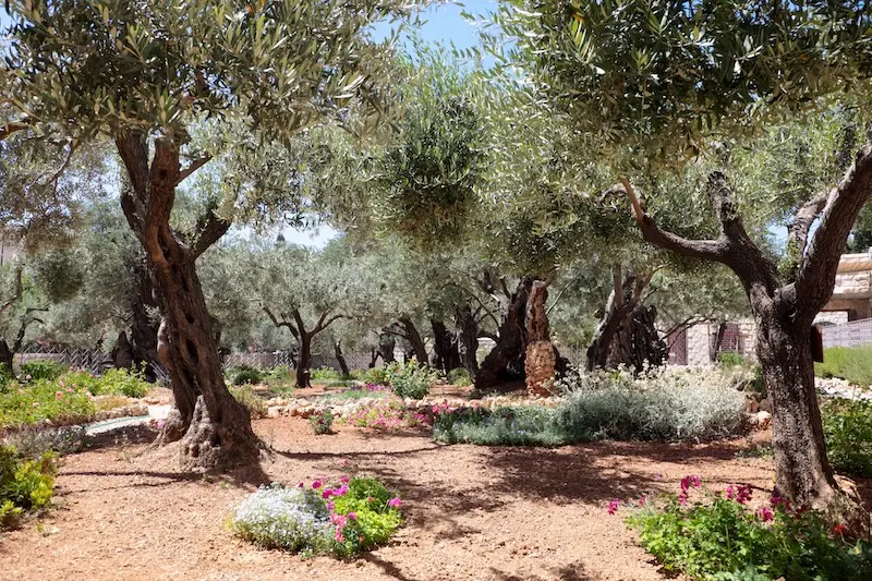 Đất Th&aacute;nh Jerusalem, nơi bờ tường gạch đ&aacute; in dấu lịch sử 9