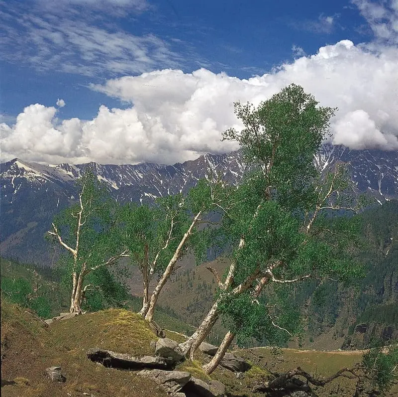 D&atilde;y Himalaya: Bức tường th&agrave;nh uy nghi tr&ecirc;n cao nguy&ecirc;n T&acirc;y Tạng 5