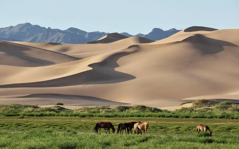 Đến sa mạc Gobi h&ograve;a m&igrave;nh v&agrave;o thi&ecirc;n nhi&ecirc;n hoang d&atilde; đầy kỳ th&uacute; 8