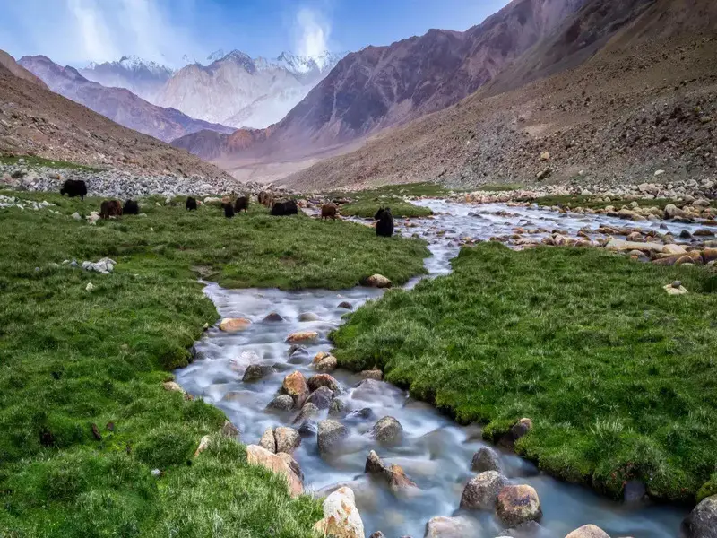 Đến thung lũng Nubra ngắm vi&ecirc;n ngọc ẩn của Ladakh Ấn Độ 2