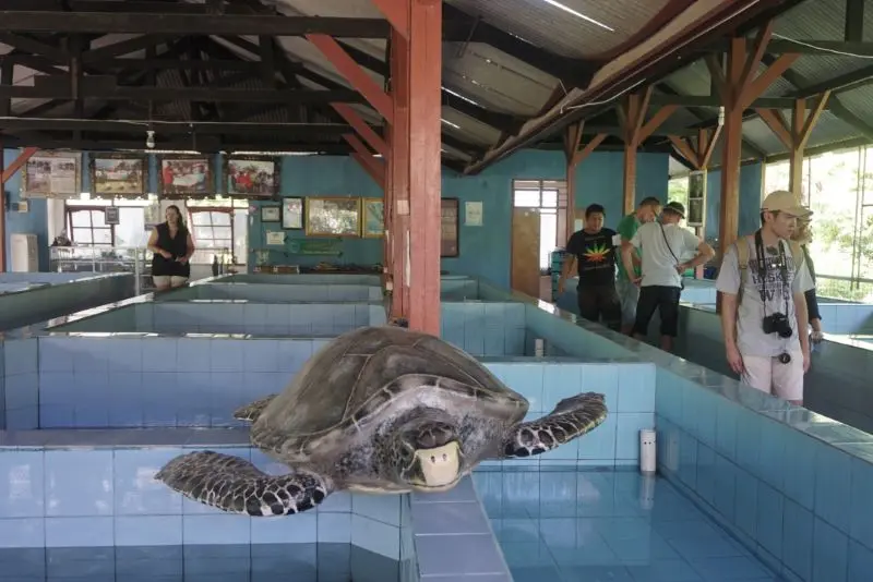 Denpasar, bản giao hưởng truyền thống v&agrave; hiện đại tại Bali 11