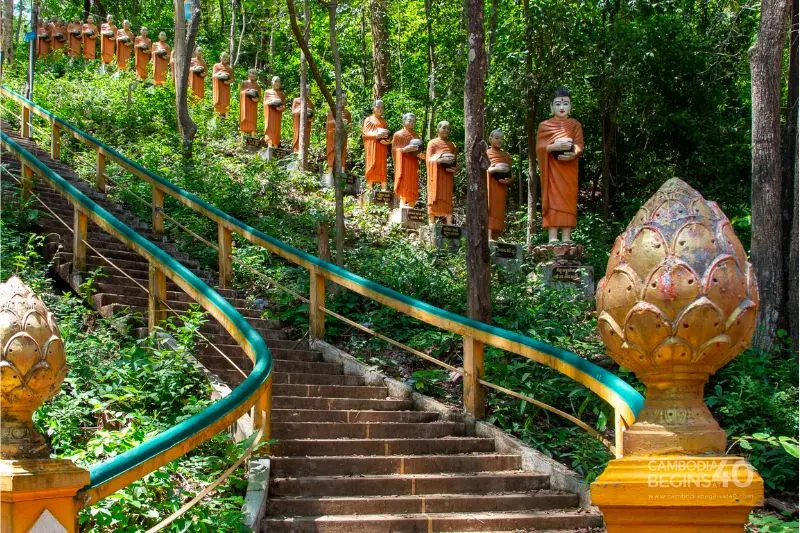 Du lịch Kratie ngắm c&aacute; heo nước ngọt Irrawaddy qu&yacute; hiếm 7