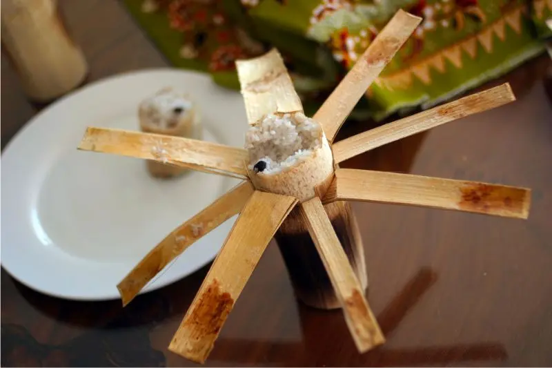 Du lịch Kratie ngắm c&aacute; heo nước ngọt Irrawaddy qu&yacute; hiếm 10