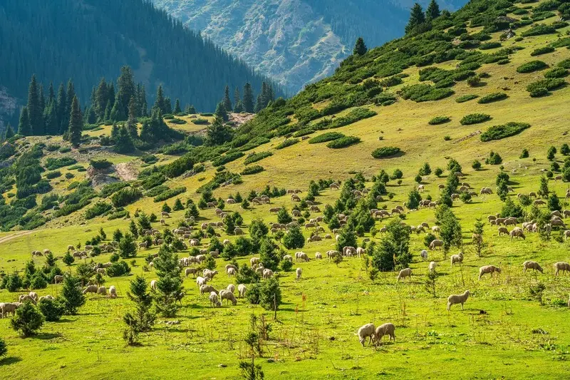 Du lịch Kyrgyzstan, kh&aacute;m ph&aacute; miền đất đẹp như tranh vẽ 2