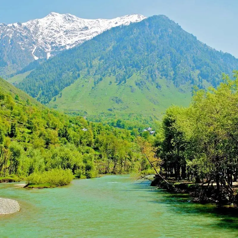Du lịch Pahalgam thung lũng chăn cừu đẹp ngoạn mục tại v&ugrave;ng Kashmir 6