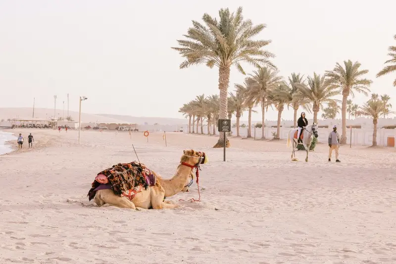 Du lịch Qatar giải m&atilde; vẻ đẹp tương phản của th&agrave;nh phố tương lai 10