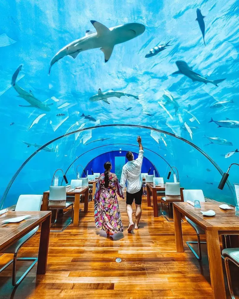 Du lịch quốc đảo Maldives kh&aacute;m ph&aacute; vẻ đẹp ngoạn mục 16