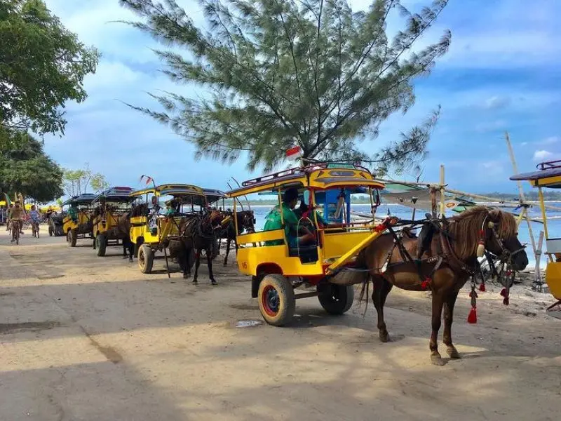 Du ngoạn đảo Gili Trawangan xinh đẹp c&ugrave;ng nhịp sống b&igrave;nh dị 4